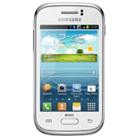     SAMSUNG GT-S6312 GALAXY YOUNG